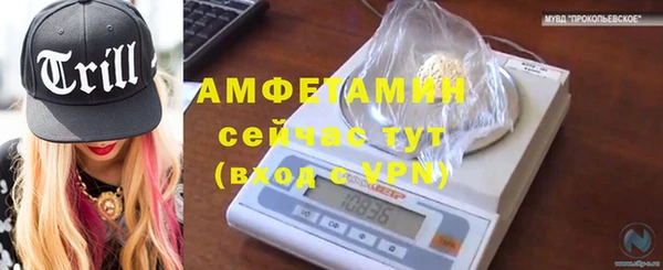 шишки Ахтубинск