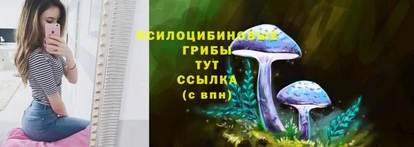 эйфоретик Наволоки