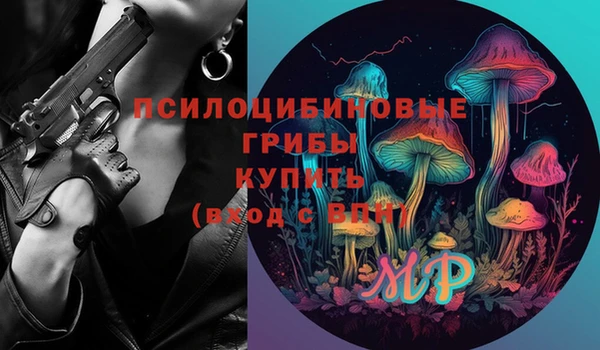 бошки Надым