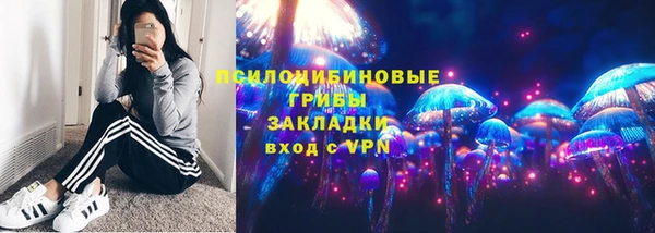дживик Нея