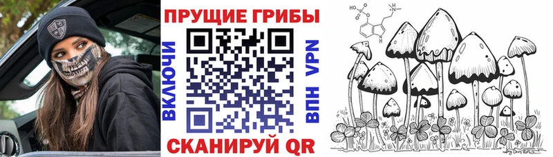 где найти наркотики  Лермонтов  MEGA ТОР  Псилоцибиновые грибы ЛСД 